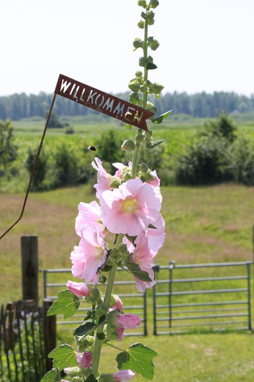 Ferienwohnung Vogelsang Suderhoft エクステリア 写真